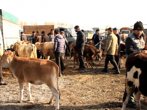 Mal bazarlarının fəaliyyəti bərpa edilir? –