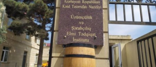 ﻿ “İnam Grop 2024” MMC Üzümçülük və Şərabçılıq İnstitutuna həm təmir, həm də elmi tədqiqat xidmətləri göstərir -