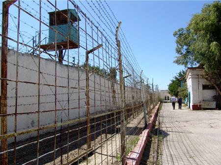 Kimlər Amnistiya ilə cəzadan azad ediləcək?