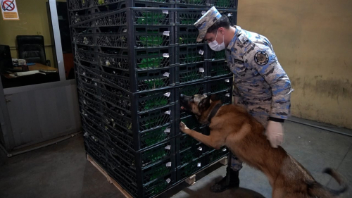 Astara Gömrük İdarəsində 148 kiloqramdan artıq narkotik vasitə aşkarlanıb - 