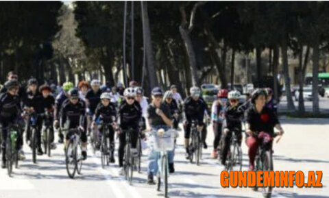 QHT-lərə Dövlət Dəstəyi Agentliyi media təşkilatı adı ilə “piy” əridir - dövlət büdcəsi özəl maraqlar üçün xərclənir  