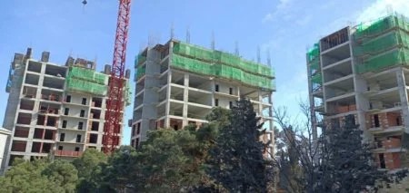 “Park Əcəmi” nin tikintisi zamanı "ağac soyqırımı"