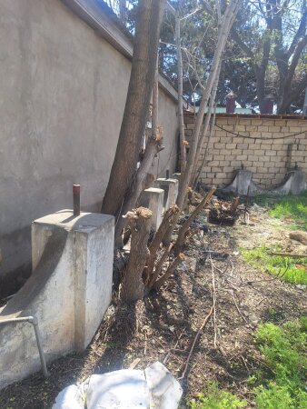 Mülkümü “REKET”LƏR ƏLİMDƏN ZORLA ALIR, ölümlə TƏHDİD EDİLİRƏM  