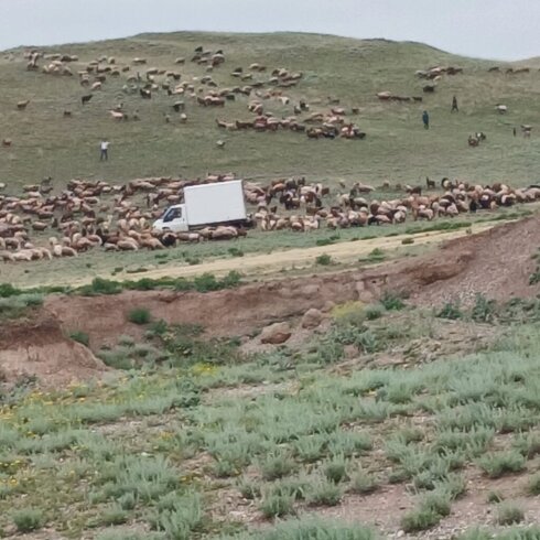 “Azəraqrar” şəhid ailəsinin “dərisini soyur”