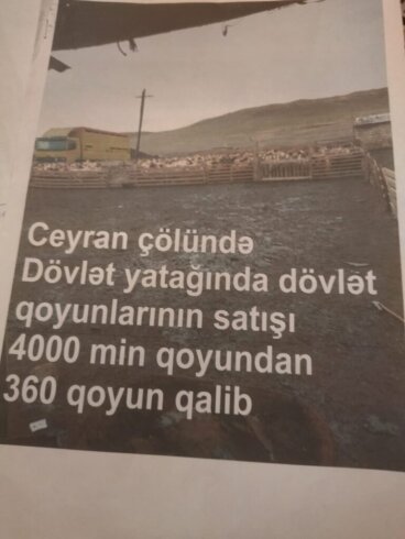 “Azəraqrar” şəhid ailəsinin “dərisini soyur”