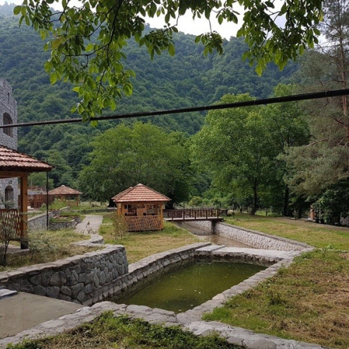 İsmayıllının icra başçısının müavini meşə ərazisini zəbt edib - 