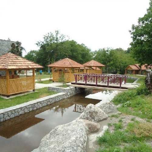 İsmayıllının icra başçısının müavini meşə ərazisini zəbt edib - 