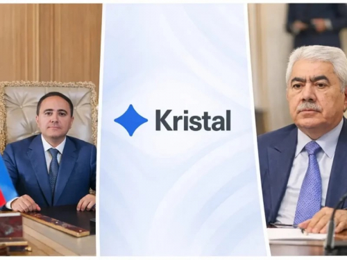 İmtiyazlı podratçı: Deputat oğlunun “Crystal Group”u dövlət büdcəsini necə 