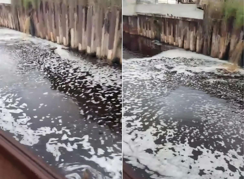Bakıda pivə zavodu dənizi belə murdarlayır -  
