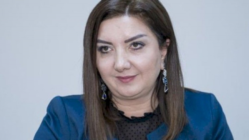 Nazilə Səfərli onu təhqir edən izləyicindən polisə şikayət etdi