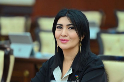 Deputat “çılğın dondurmaçı”dan danışdı