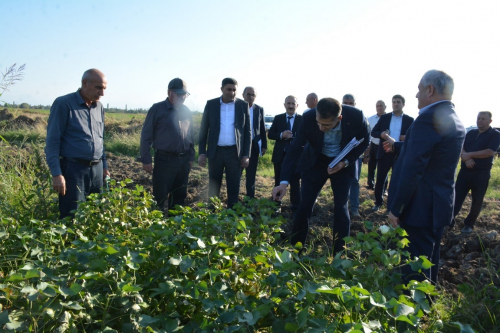 Tərtərdə yeni Dövlət Proqramının icrası ilə əlaqədar kənd təsərrüfatı və emal sahələrinin inkişafı üzrə layihələrə baxış keçirilib