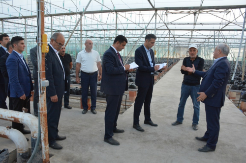 Tərtərdə yeni Dövlət Proqramının icrası ilə əlaqədar kənd təsərrüfatı və emal sahələrinin inkişafı üzrə layihələrə baxış keçirilib