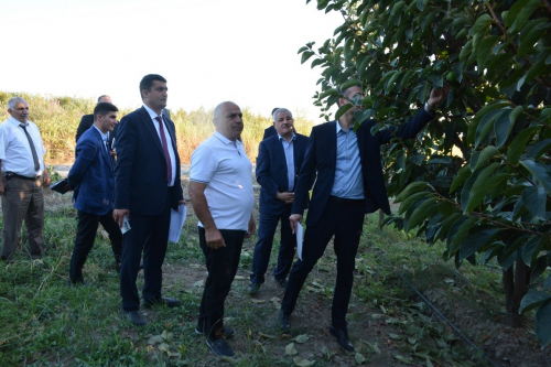 Tərtərdə yeni Dövlət Proqramının icrası ilə əlaqədar kənd təsərrüfatı və emal sahələrinin inkişafı üzrə layihələrə baxış keçirilib