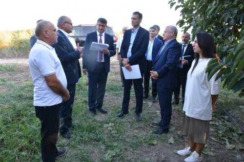 Tərtərdə yeni Dövlət Proqramının icrası ilə əlaqədar kənd təsərrüfatı və emal sahələrinin inkişafı üzrə layihələrə baxış keçirilib