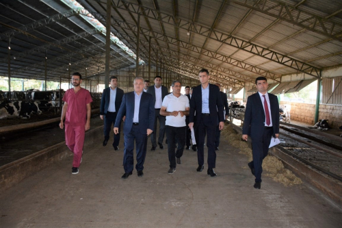 Tərtərdə yeni Dövlət Proqramının icrası ilə əlaqədar kənd təsərrüfatı və emal sahələrinin inkişafı üzrə layihələrə baxış keçirilib