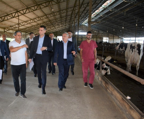 Tərtərdə yeni Dövlət Proqramının icrası ilə əlaqədar kənd təsərrüfatı və emal sahələrinin inkişafı üzrə layihələrə baxış keçirilib