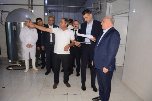 Tərtərdə yeni Dövlət Proqramının icrası ilə əlaqədar kənd təsərrüfatı və emal sahələrinin inkişafı üzrə layihələrə baxış keçirilib
