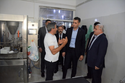 Tərtərdə yeni Dövlət Proqramının icrası ilə əlaqədar kənd təsərrüfatı və emal sahələrinin inkişafı üzrə layihələrə baxış keçirilib