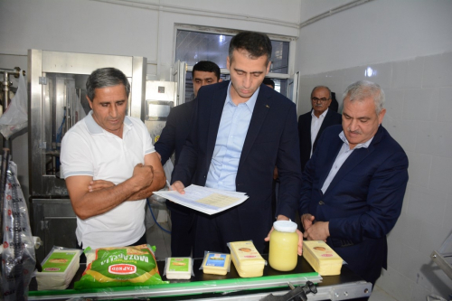 Tərtərdə yeni Dövlət Proqramının icrası ilə əlaqədar kənd təsərrüfatı və emal sahələrinin inkişafı üzrə layihələrə baxış keçirilib